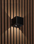 LUMIFY Boca Schwarz