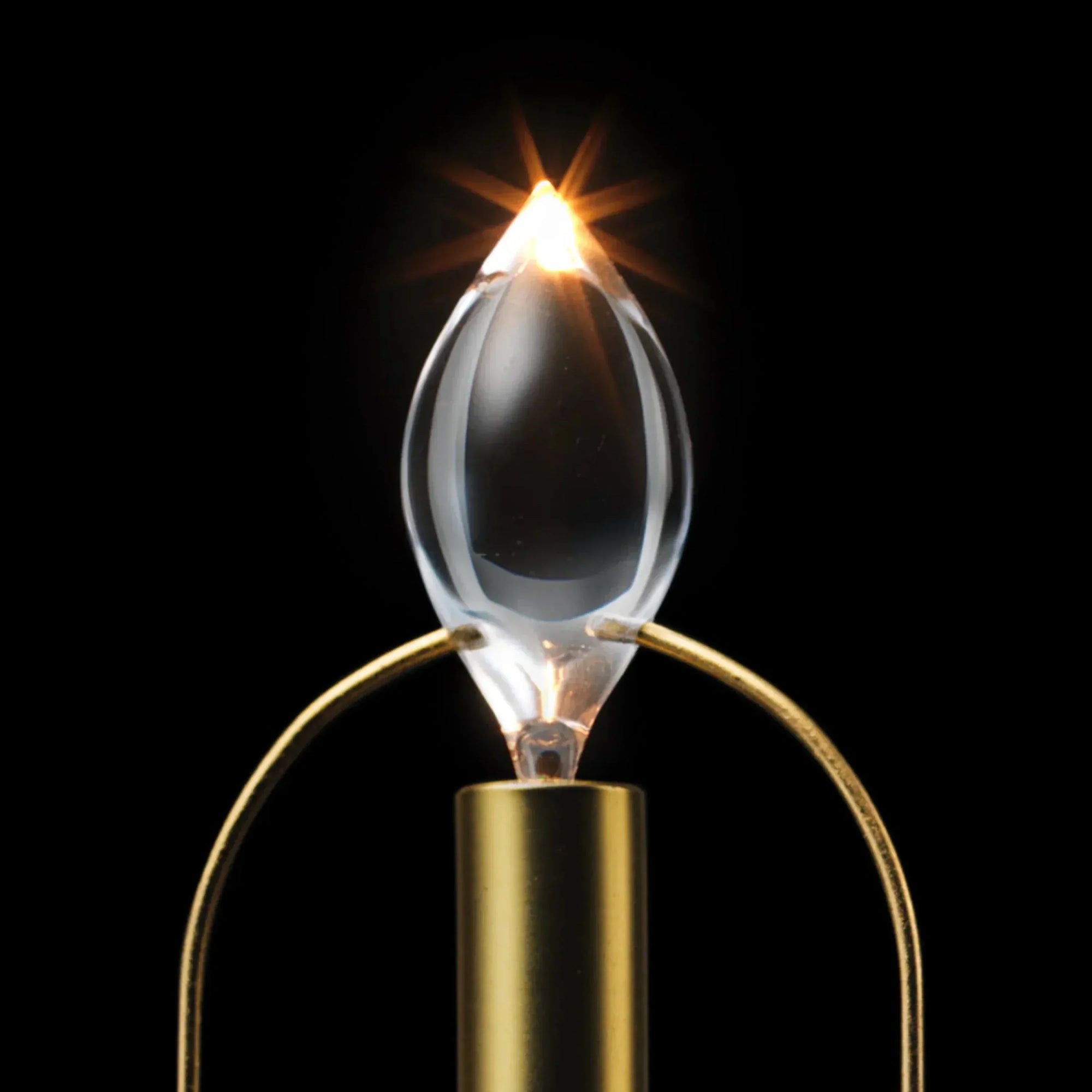 AMBIENTIFY Ember